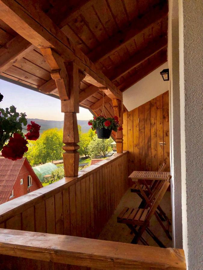 Pensiunea Roca Maramures Deseşti المظهر الخارجي الصورة