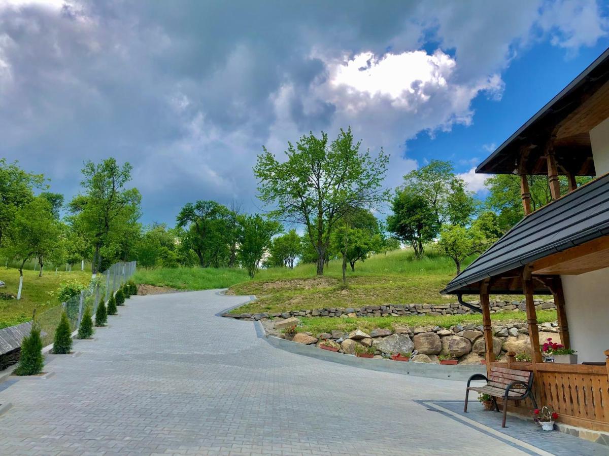 Pensiunea Roca Maramures Deseşti المظهر الخارجي الصورة