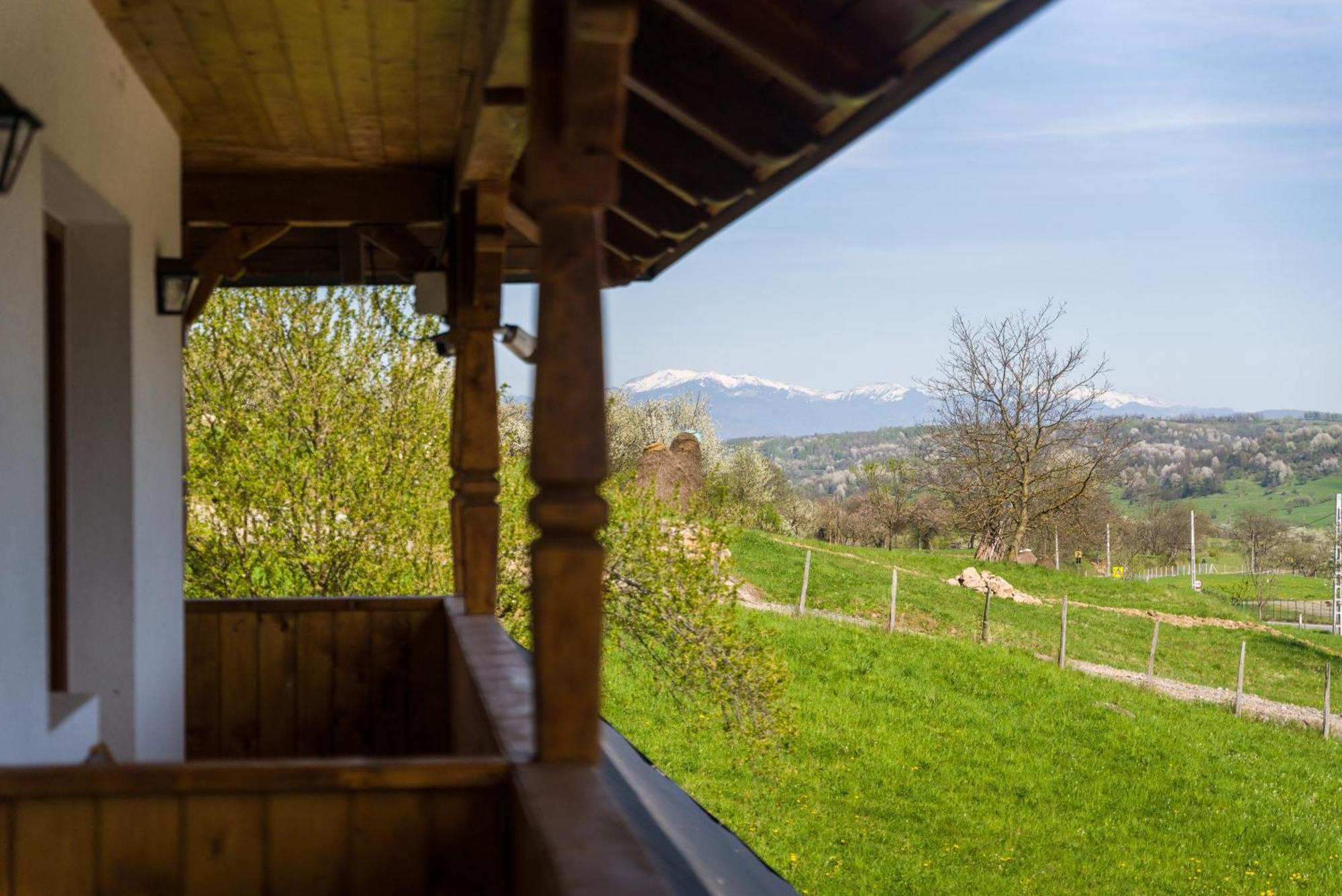 Pensiunea Roca Maramures Deseşti المظهر الخارجي الصورة
