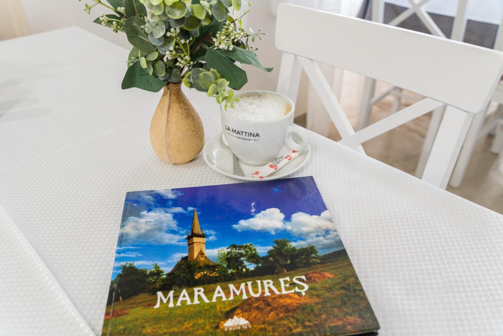 Pensiunea Roca Maramures Deseşti المظهر الخارجي الصورة